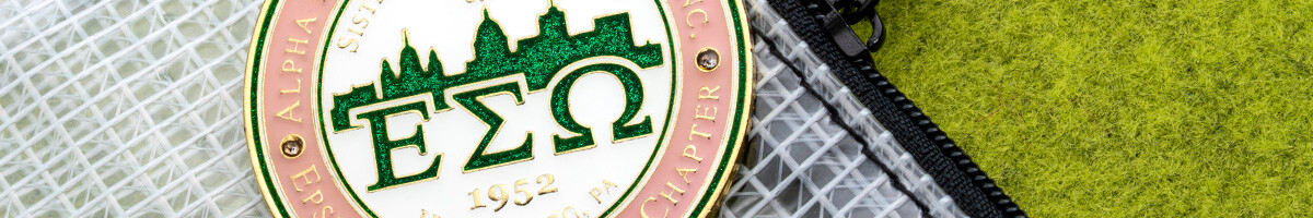Alpha Kappa Alpha Sorority Epsilon Sigma Omega Chapter pin in green and pink enamel resting on a clear pouch