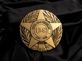 Civil War Veteran Star Display Coin