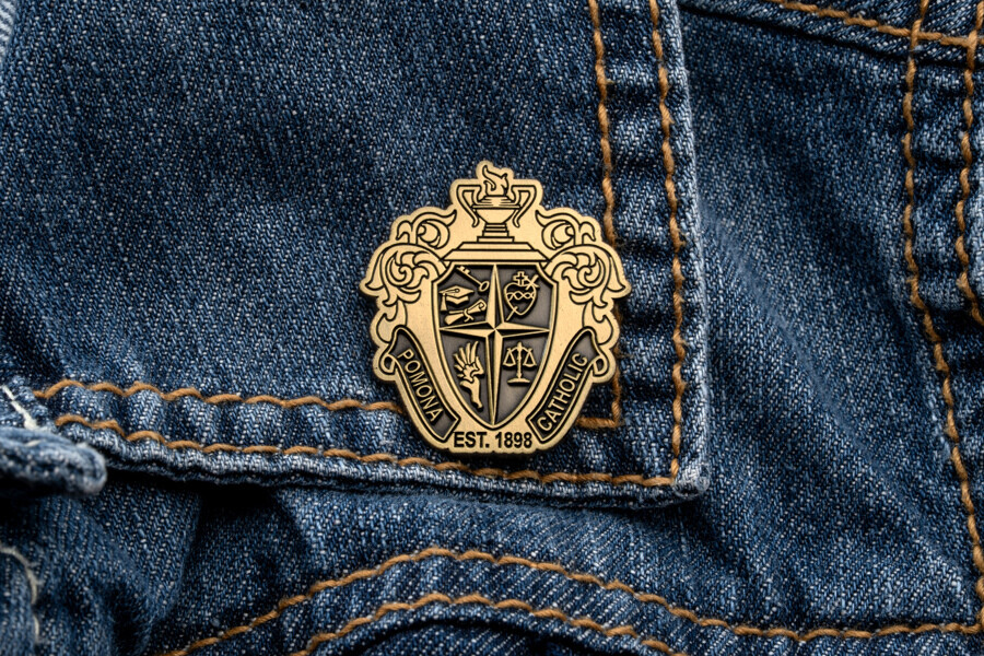 Antique gold plated lapel pin