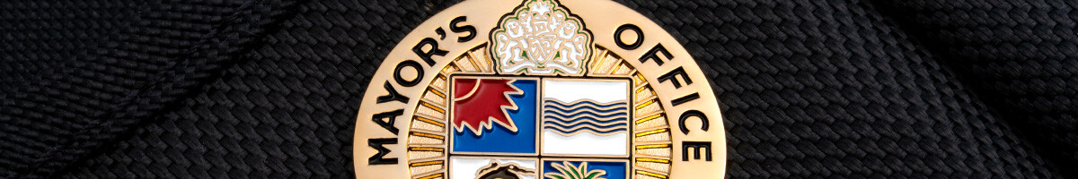 Gold Mayor's Office lapel pin with a four-part coat of arms for the Kanifing Municipal Council, on black fabric