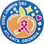 Ysc Summit Atlanta Peach Pin